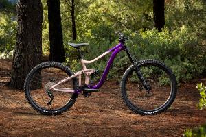 VTT Enduro GIANT Reign SX Purple/Petra Clay