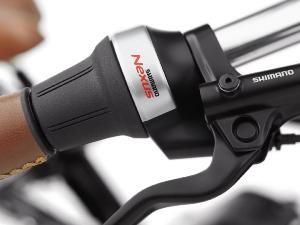Vélo électrique ELECTRA Townie Commute Go!  500Wh Noir
