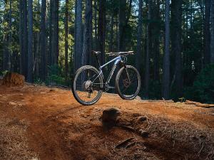 VTT Carbone GIANT XTC Advanced 29 2