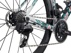 Vélo Route Femmes LIV Enviliv Advanced SL Edition Limitée