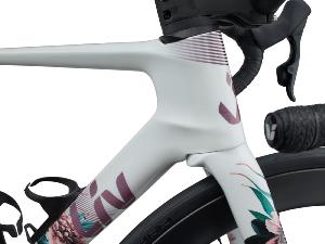 Vélo Route Femmes LIV Enviliv Advanced SL Edition Limitée