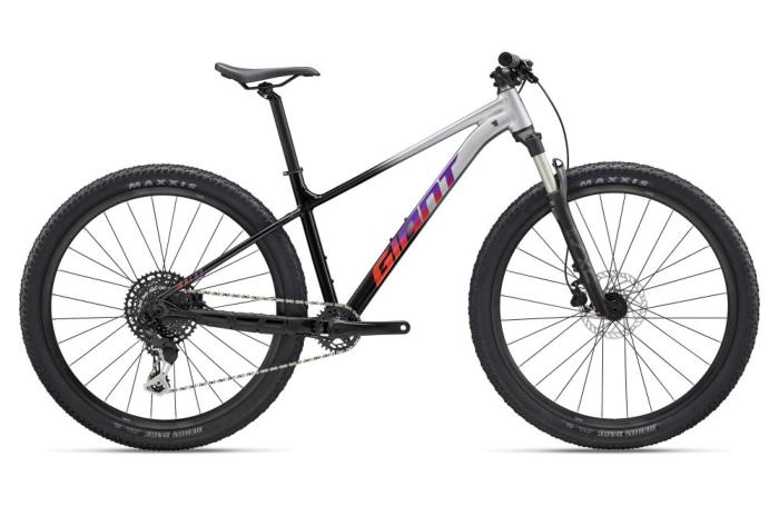 VTT GIANT Talon 1 Gris/Noir Microshift Advent MX 1x11v (2027)